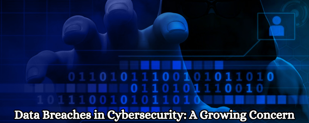 Data Breaches in Cybersecurity: A Growing Concern