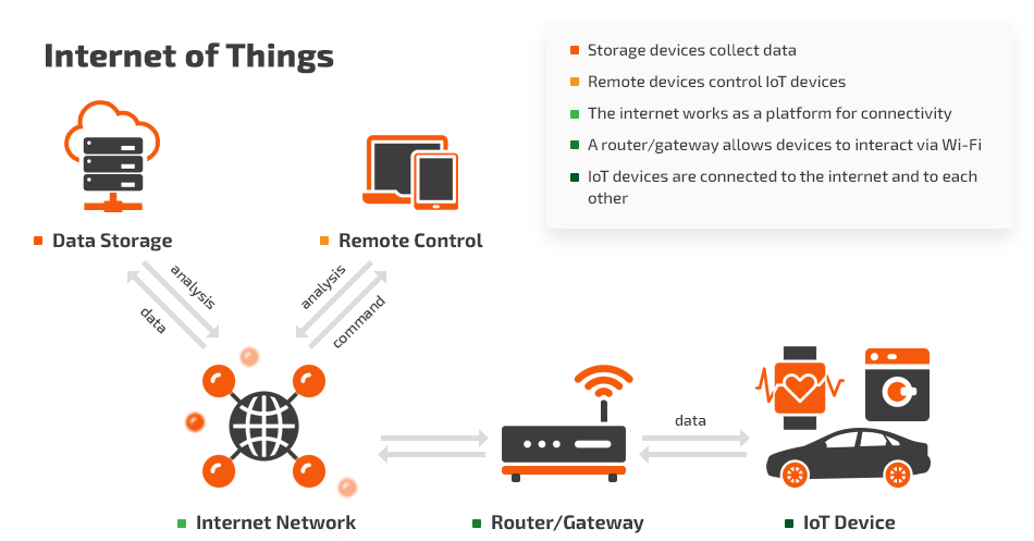 Securing IoT Networks