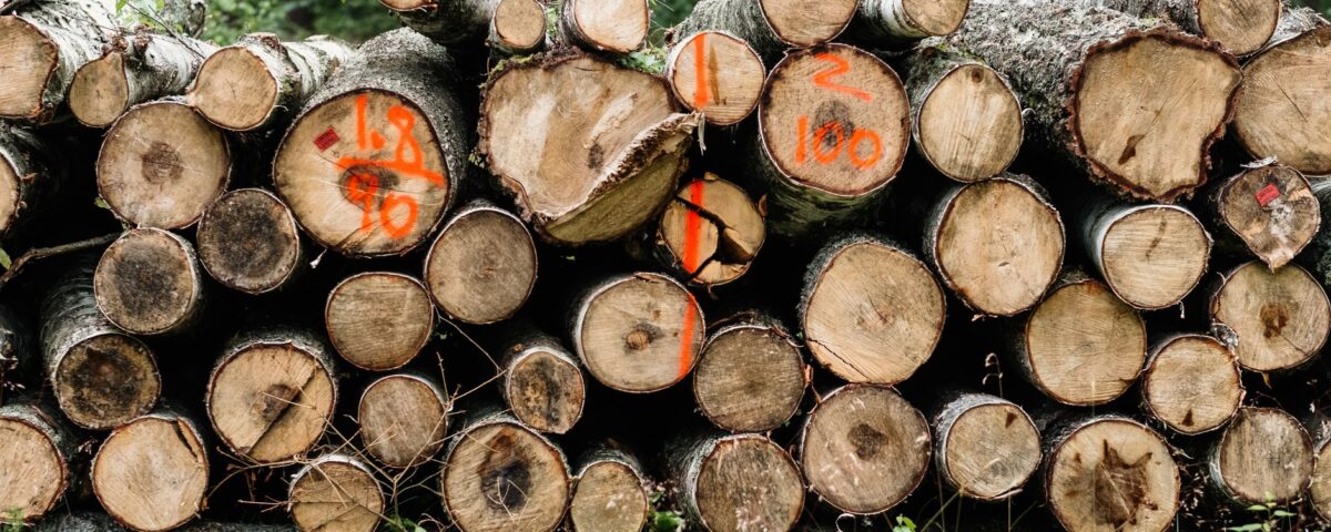 Featured image for: Splunk vs Elastic SIEM: Which Log Management Solution Wins f