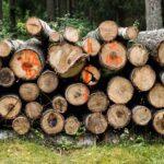 Featured image for: Splunk vs Elastic SIEM: Which Log Management Solution Wins f