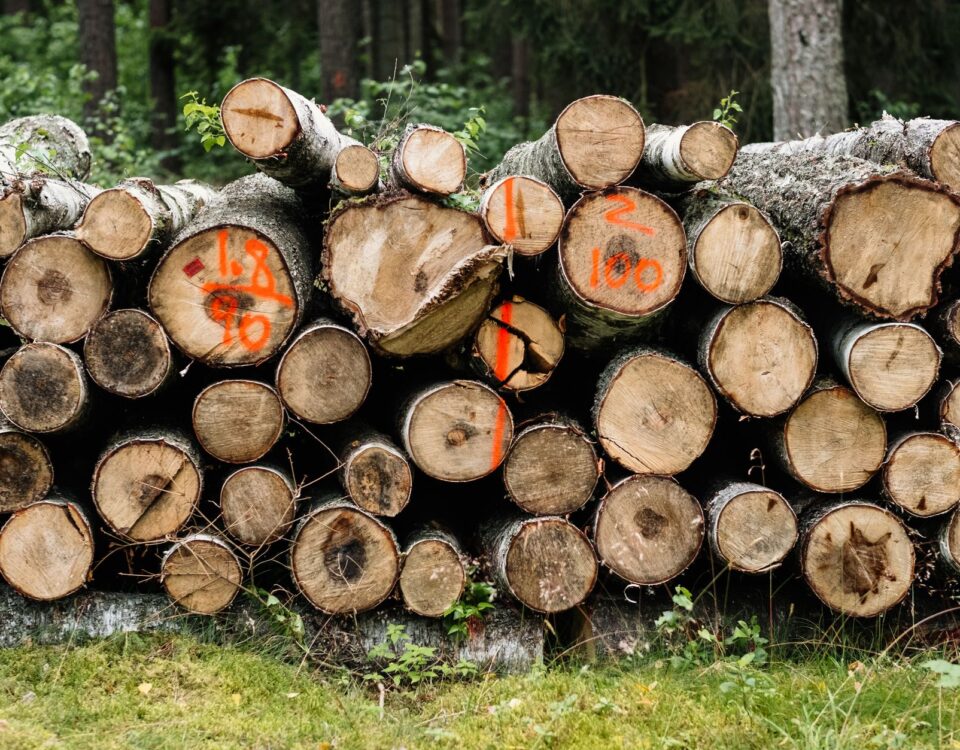 Featured image for: Splunk vs Elastic SIEM: Which Log Management Solution Wins f